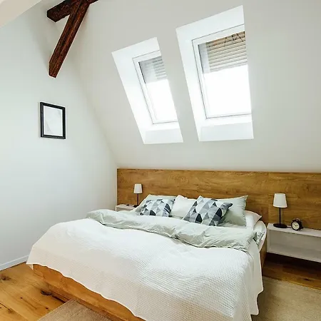 Apartment Loft V Historickom Centre Trencin
