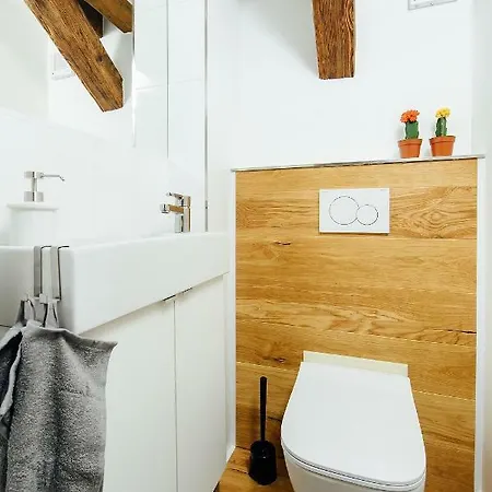 Loft V Historickom Centre 公寓 Trenčín